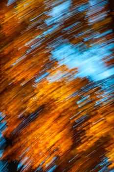 Abstract motion blur of trees in an autumn forest