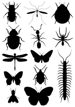 Illustration of ten insects isolated on white