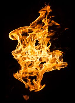 Orange fire flames on a black background