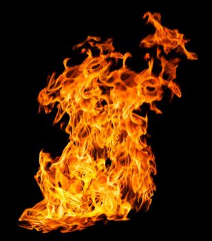 Orange fire flames on a black background