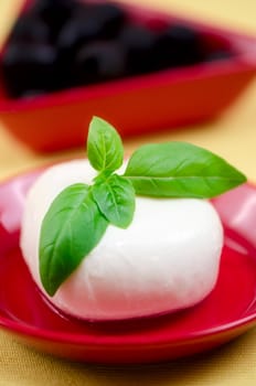 mozzarella with basil on a plate.