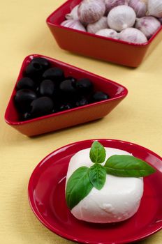 Italian mozzarella cheese with basil on a plate.