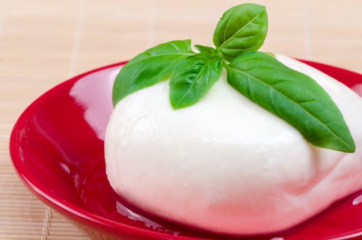 mozzarella with basil on a plate.