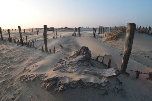 Very high wind on the beach in Camargue, France south