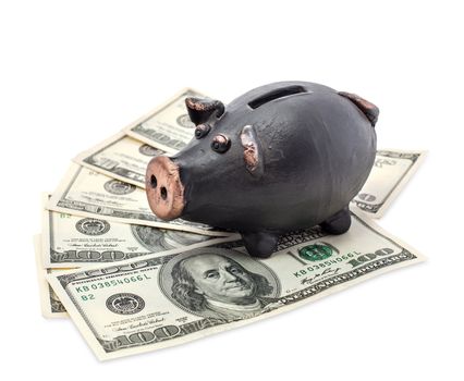Money and black piggy bank isolated on white background.