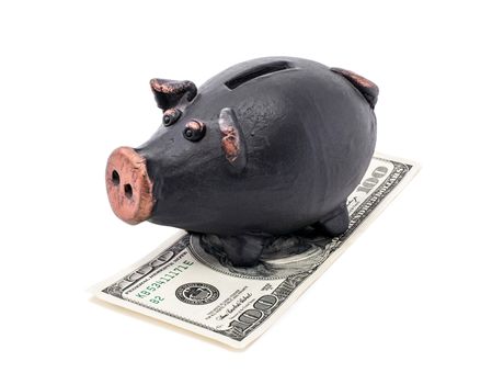Money and black piggy bank isolated on white background.