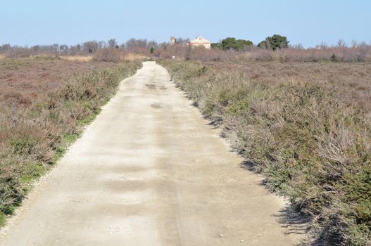 Empty road to infinity in camargue, France south