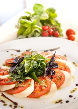 Delicious fresh Caprese Salad on a white dish