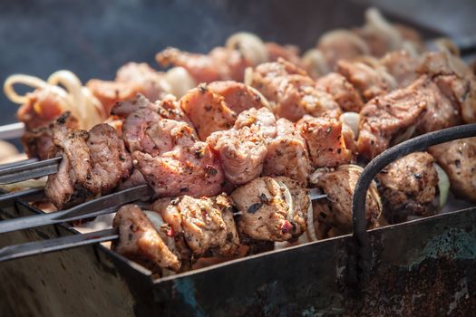 Shish kebab of the pork with the mix of spices