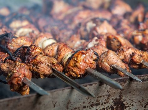 Shish kebab of the pork with the mix of spices