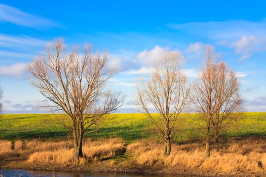 Autumn Landscape Of River And Trees And Bushes