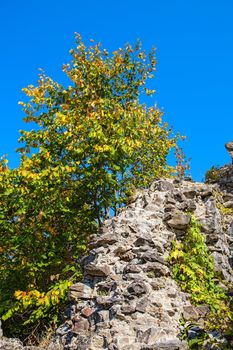 Nevitsky Castle. The wall of an old castle in early autumn