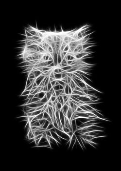 Abstract kitten on black background