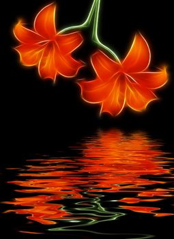 Two red lilies and water reflection
