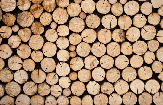 Pile of wood logs ready for winter