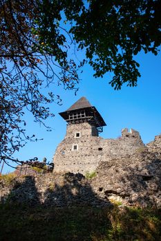 Nevitsky Castle ruins built in 13th century. Ukraine.