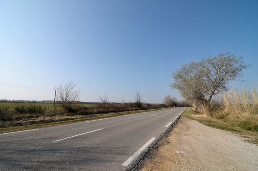 Empty road to infinity in camargue, France south