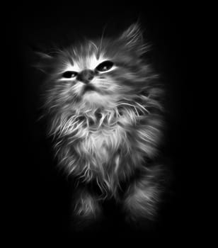 Abstract kitten on black background