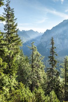 View of High Tatra Mountains from hiking trail. Slovakia. Europe.