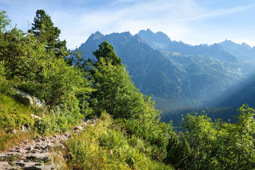 View of High Tatra Mountains from hiking trail. Slovakia. Europe.