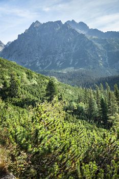 View of High Tatra Mountains from hiking trail. Slovakia. Europe.