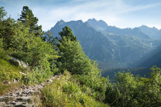 View of High Tatra Mountains from hiking trail. Slovakia. Europe.