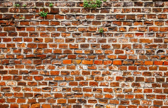Brick wall texture of the old house