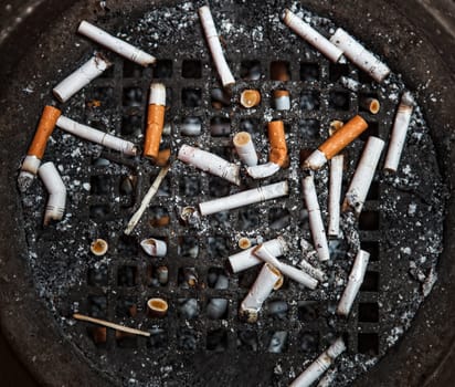 closeup of many dirty cigarettes butts