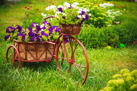 Decorative Model Of An Old Bicycle Equipped With Basket Of Flowers.