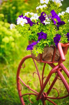 Decorative Model Of An Old Bicycle Equipped With Basket Of Flowers.