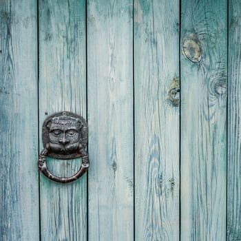 Decorative Gilded Lion Head Door Knob. Lion Head, Brass Door Knocker