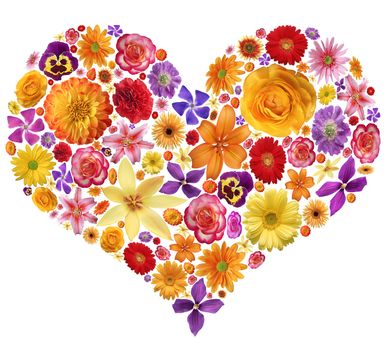 Flowers heart, isolated on white background