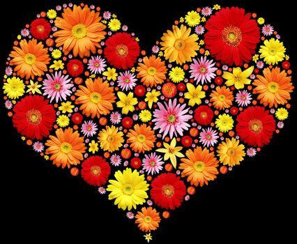 Flowers heart, isolated on black background