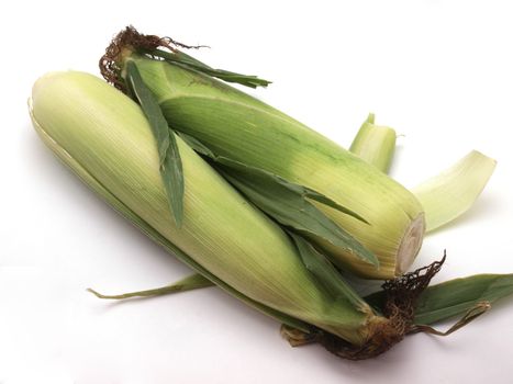 Freshly cut organic sweet corn.