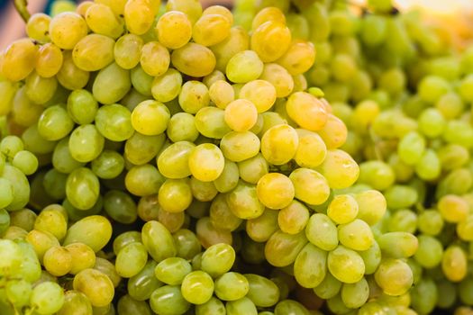 Close up of a large cluster of green grapes