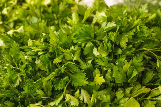 Fresh green leaves of a parsley, background