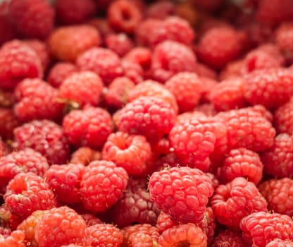 Sweet Fresh Raspberries Close Up Background.