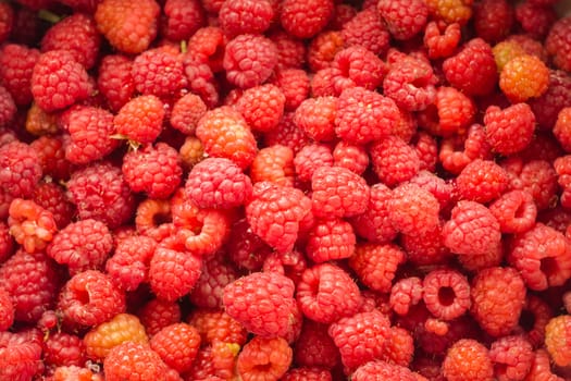 Sweet Fresh Raspberries Close Up Background.