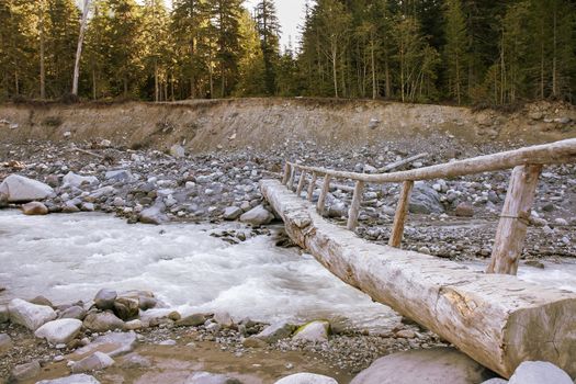 A narrow log is set up as a foot bridge over the rushing water of the Nisqually River at Mount Rainier National Park.