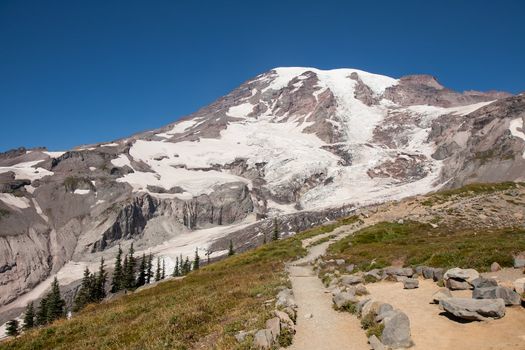 The glacier beauty of Mount Rainier greets the hiker. The trails allow the hiker to experience the unique sights while protecting the fragile ecosystem from intrusion.