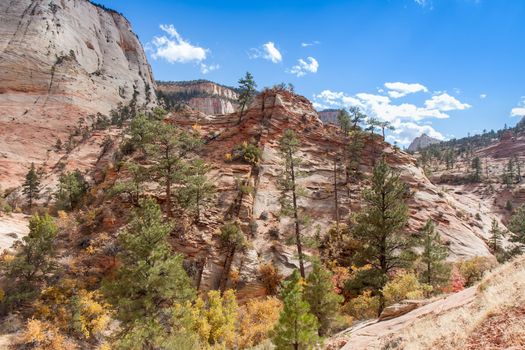 This is a view of a small sandstone formation decorated with Fall colors at Zion National Park.