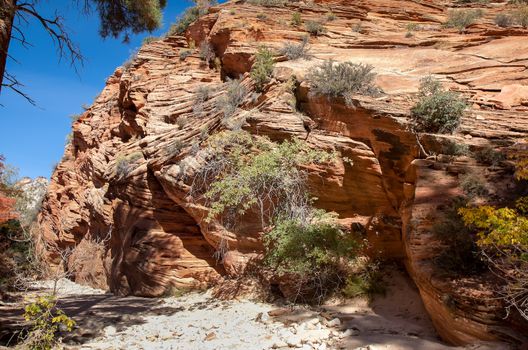 This image from Zion National Park shows a hiking trail going through an other-worldly looking place.