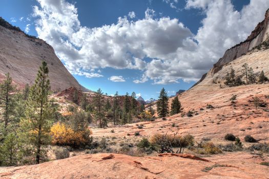 This is a view of a small sandstone valley between two sandstone mountains. Fall colors are beginning to appear.