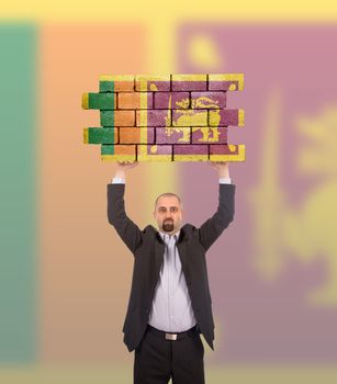 Businessman holding a large piece of a brick wall, flag of Sri Lanka, isolated on national flag