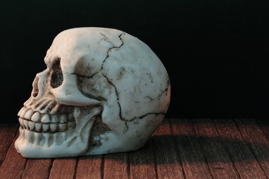 human skull over a wood table