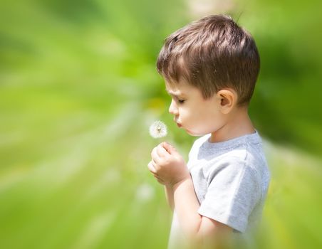 Little cute boy blowing dandelion on blurred nature background