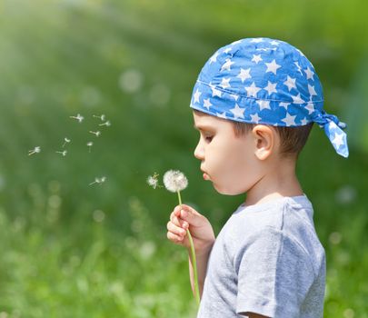 Little cute boy blowing dandelion on blurred dandelion field