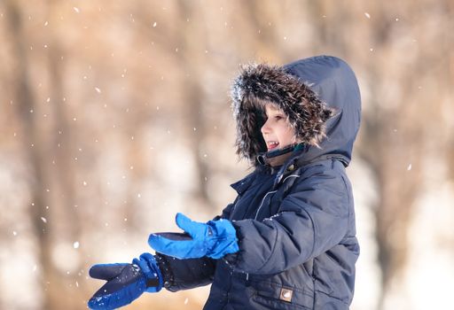 Snowfall. Cute boy in a winter jacket, playing with snowflakes