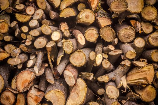 Pile Of Wood Logs Ready For Winter. Background