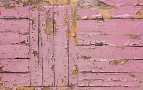 The Pink Grunge Wood Texture. Surface Of Old Wood Paint Over.